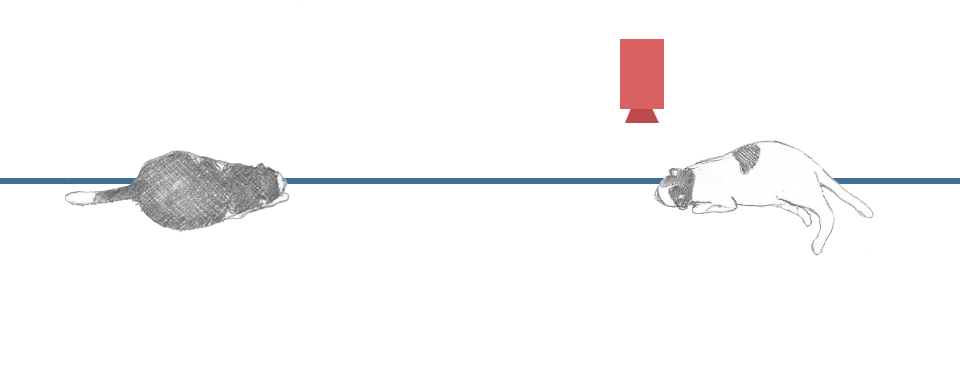 カメラ位置右上