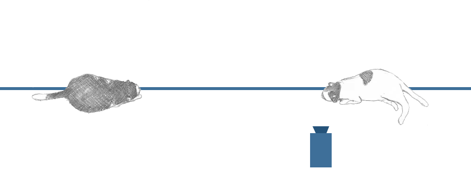 カメラ位置右下