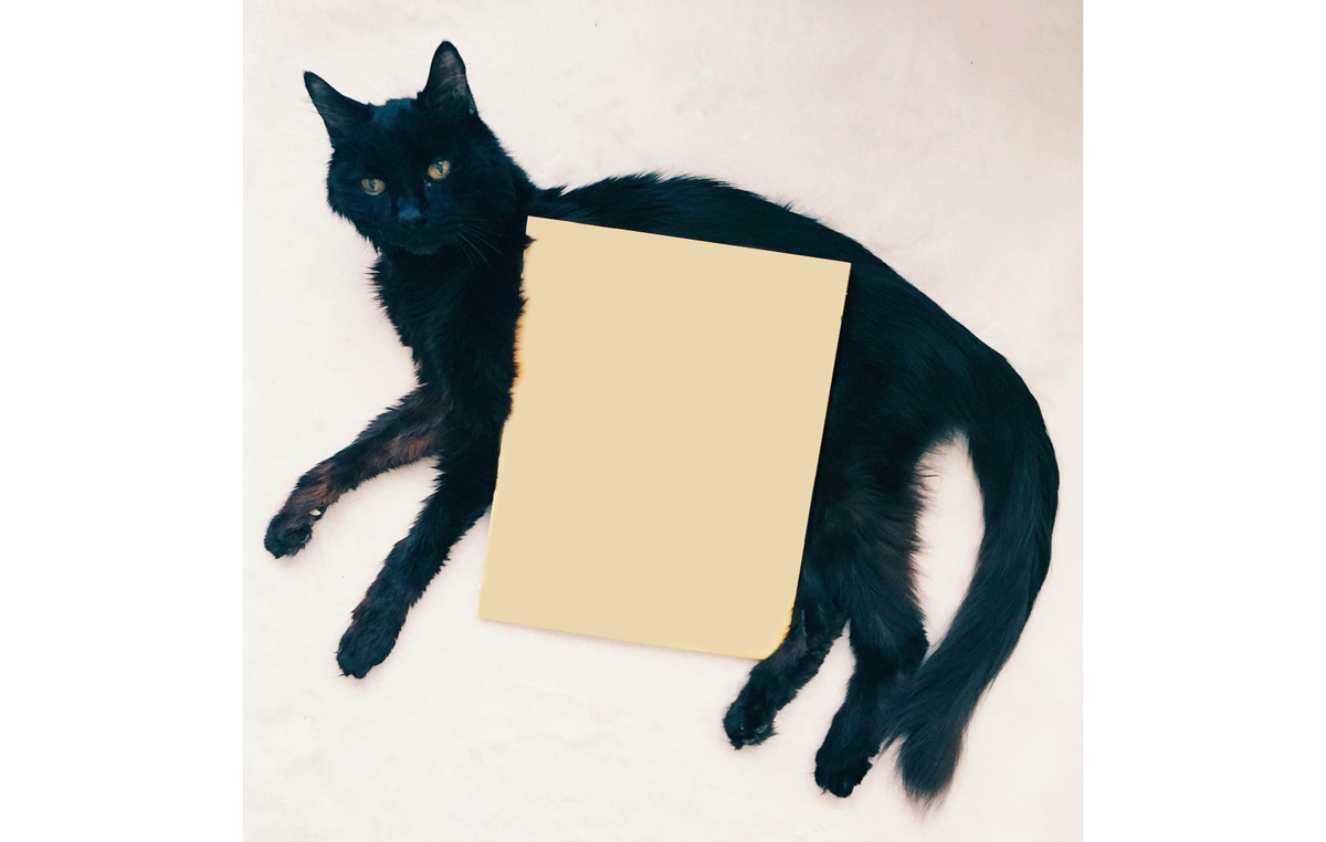 これを切り抜きましょう