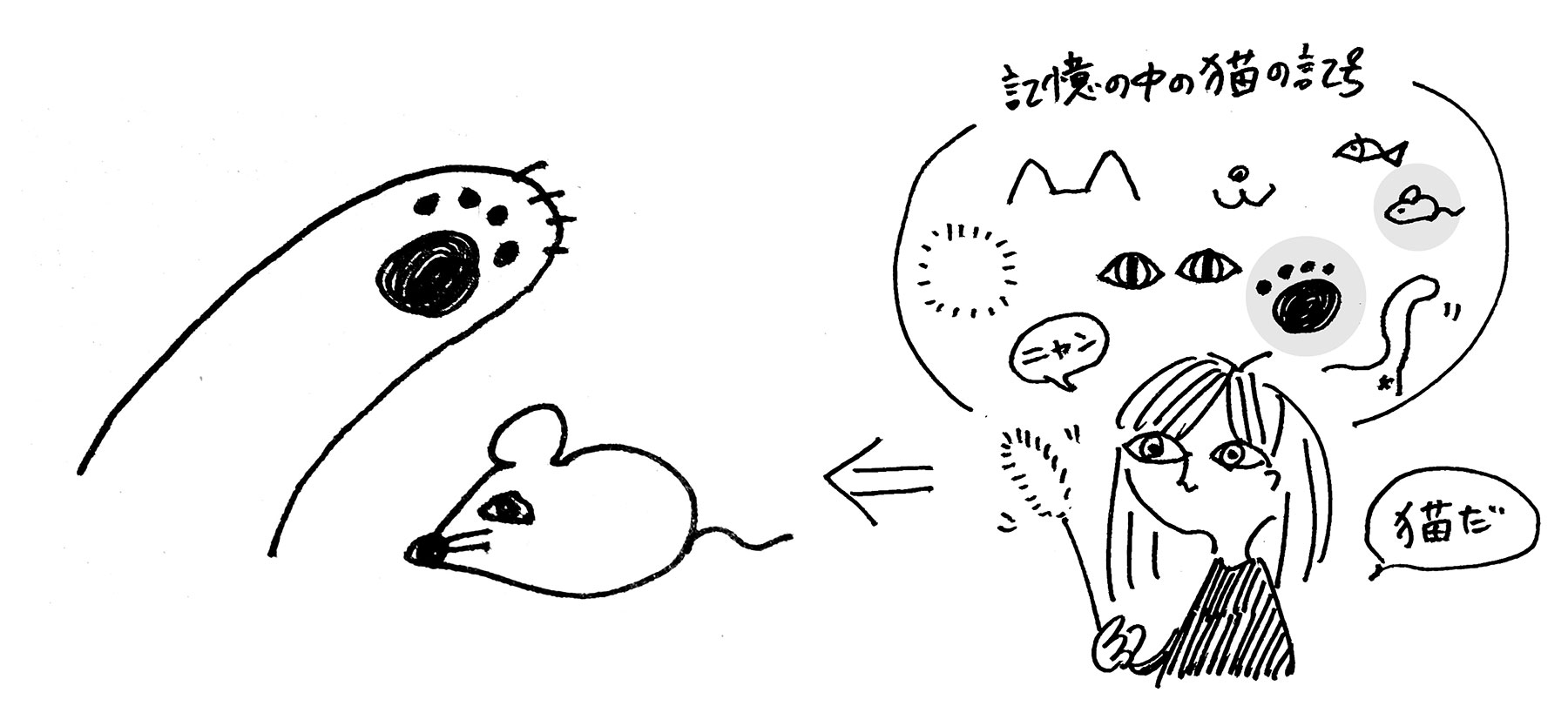 肉球とネズミの記号の組み合わせだけで猫を認知している様子
